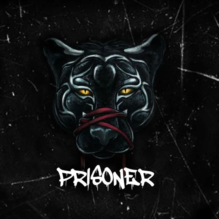 Unveil the Sense - Album cover for Prisoner Unveil the Sense - Album cover for Prisoner