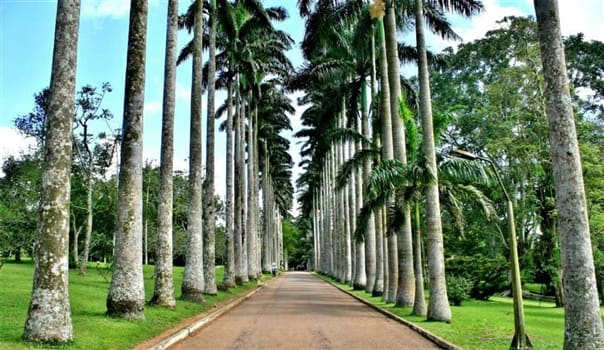 Place to See - The main entrance road into Aburi