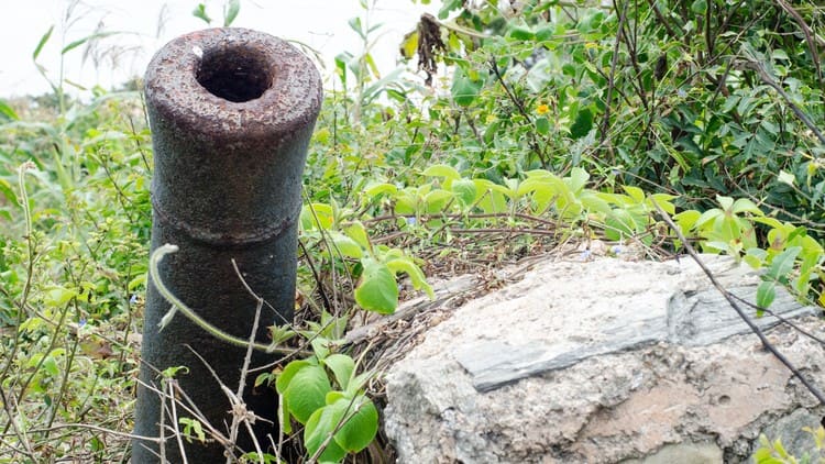 Place to See - A canon pointing lost in the ruins