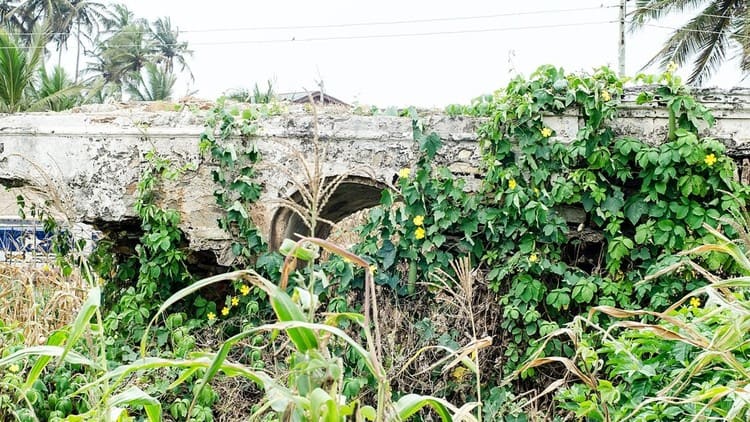 Place to See - Remains of the fort