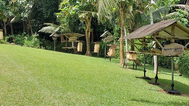 Place to See - Hypotrigona Shed