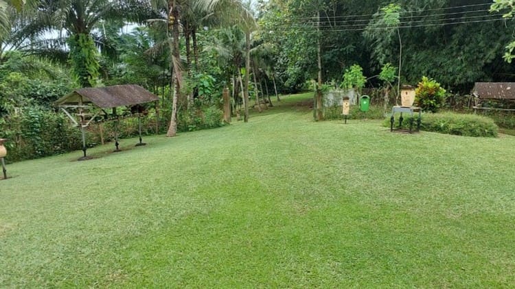 Place to See - The grounds