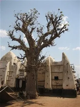 Place to See - Baobab tree near the Larabanga Mosque