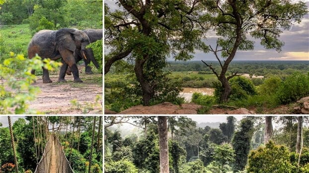 Place to See - Ghana national parks