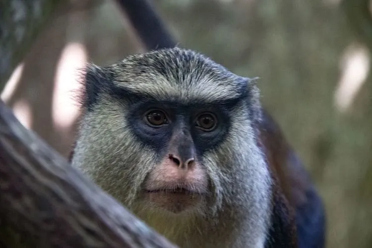Place to See - Close up