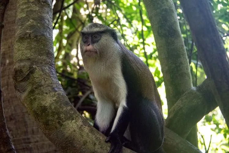 Place to See - Close up