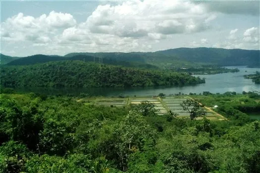 Destinations - A panoramic view of Lake Volta with dense green vegetation and rolling hills in the background.