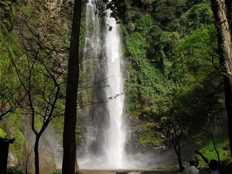 Place to See - The Wli Falls