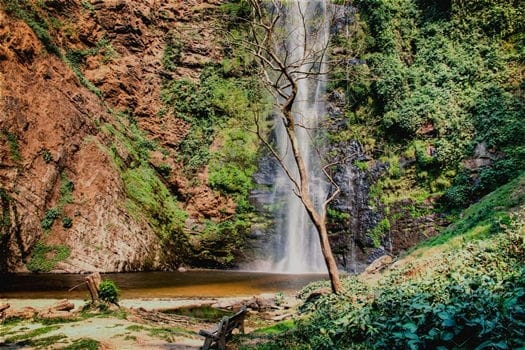Place to See - The Wli Falls