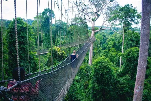 Travel Guides & Tips - Canopy of Kakum