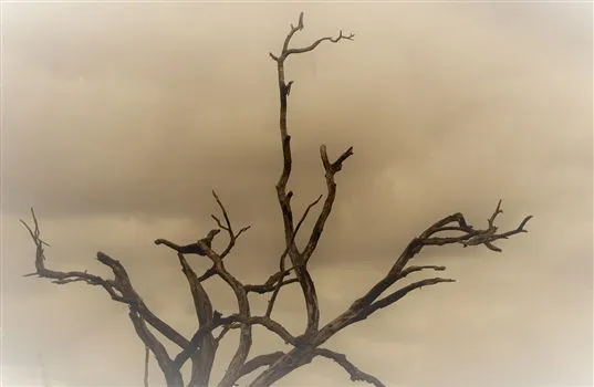 Travel Guides & Tips - Harmattan