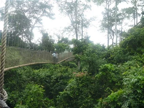 Travel Guides & Tips - Kakum National Park