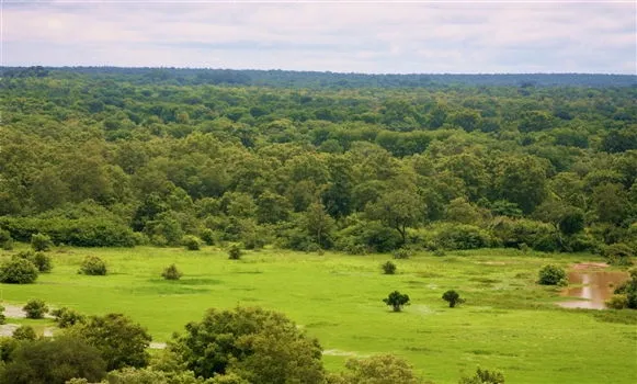 National Park Mole