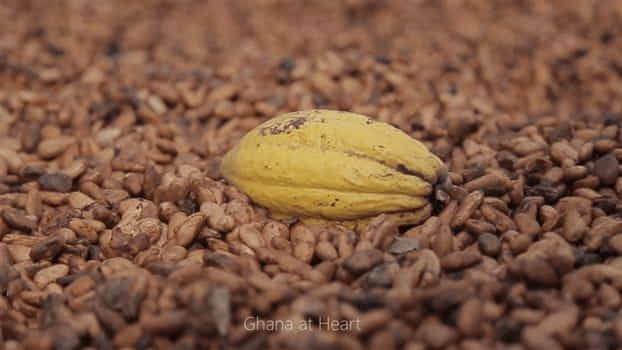 Travel Guides & Tips - Ghana at Heart - Cacao