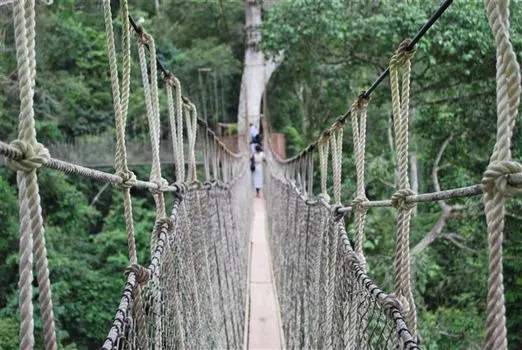 Travel Guides & Tips - Kakum National Park
