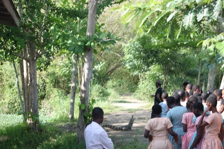 Helgard Africa - Crocodile crossing the road