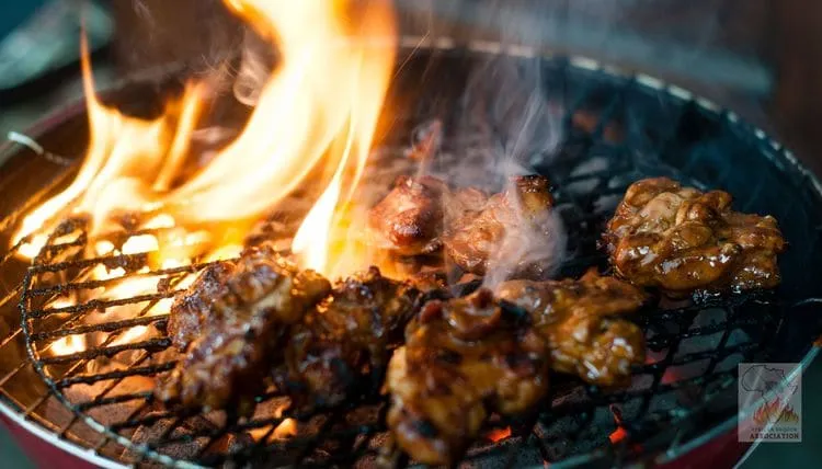 African BBQook Association - Chicken wings on bbq