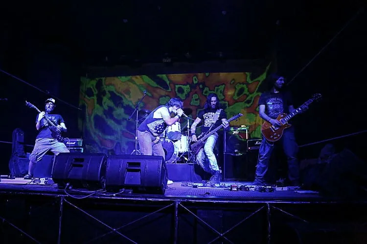 Grande Fox - Live performance